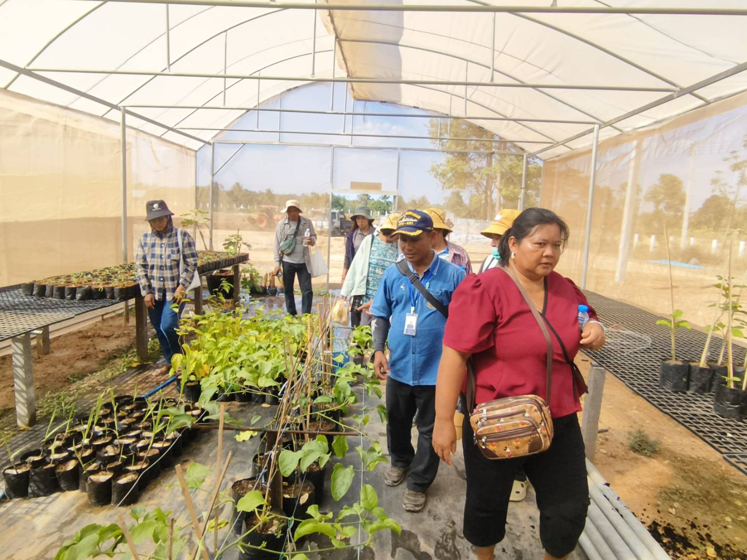 title - วันที่ 23 มกราคม 2569 นายประเสริฐ กาญจนเกียรติกุล ปฏิรูปที่ดินจังหวัดบุรีรัมย์ มอบหมายให้นายธงชัย ใจกล้า เจ้าหน้าที่ปฏิรูปที่ดิน นำเกษตรกรภายใต้โครงการพัฒนาเกษตรกรรมยั่งยืนในเขตปฏิรูปที่ดินจำนวน 11 ราย เข้าศึกษาดูงานสถานีวิจัยการเกษตรและพัฒนาโครงการหลวงโนนดินแดง